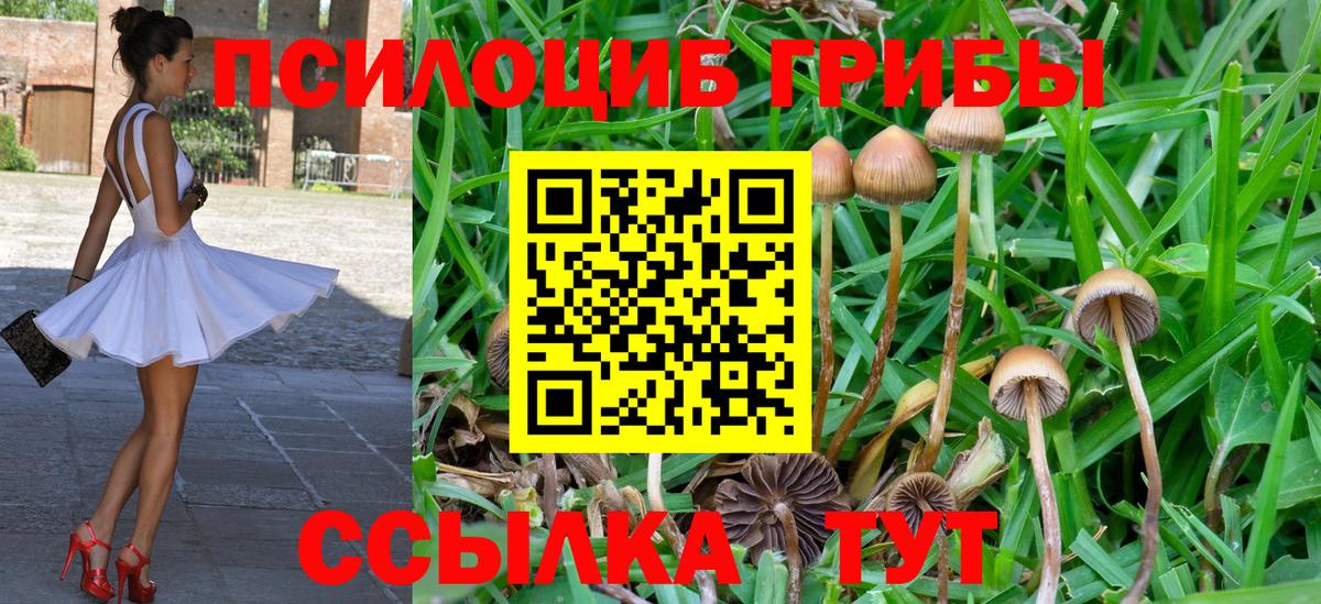 Псилоцибиновые грибы прущие грибы Аргун