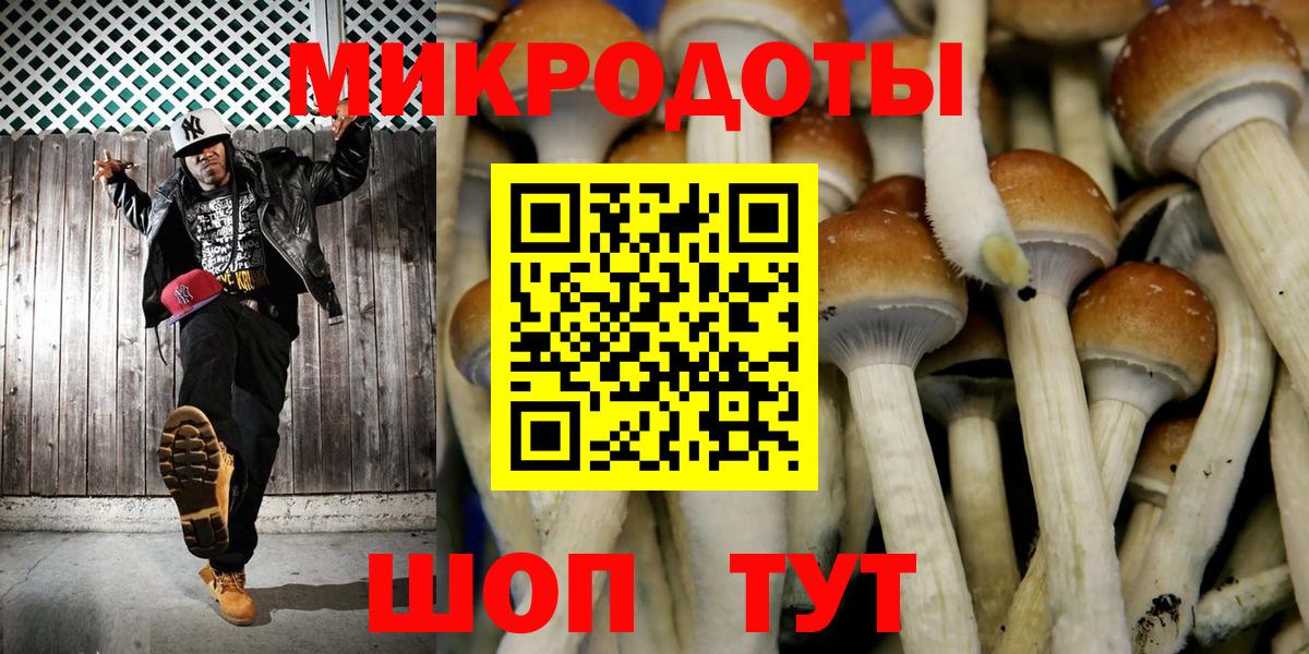 Аргун  Псилоцибиновые грибы ЛСД  Вход с VPN  Псилоцибиновые грибы ЛСД 